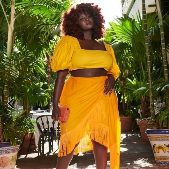 NWT Jeanette Puff Sleeve Crop Top - Gabi Fresh X FTF - Picture 3 of 6